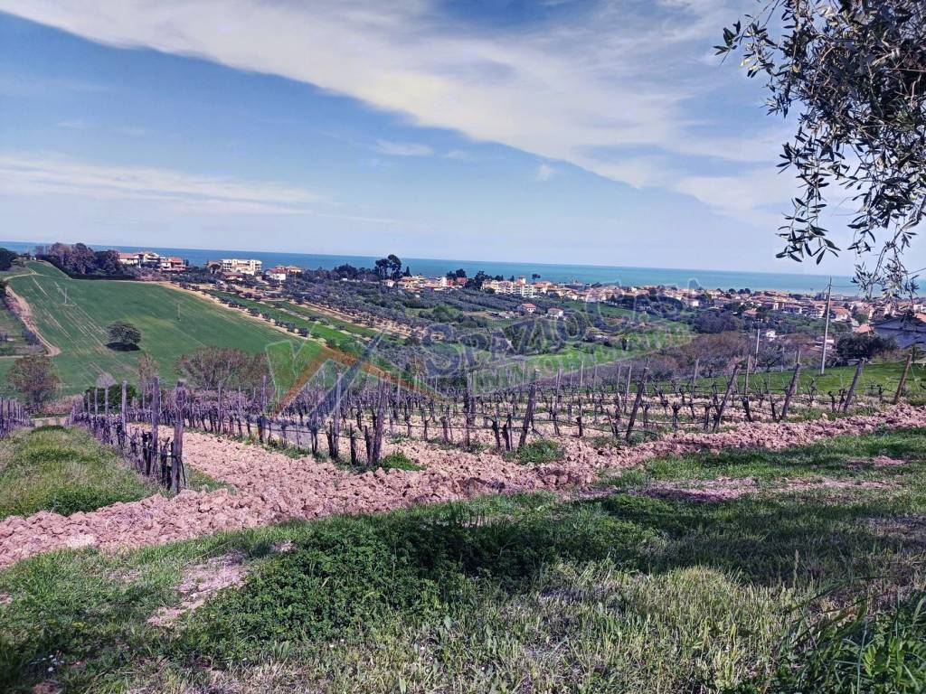 Rustico / casale a Giulianova in Via Colle d'Oro, 21 - Foto 3