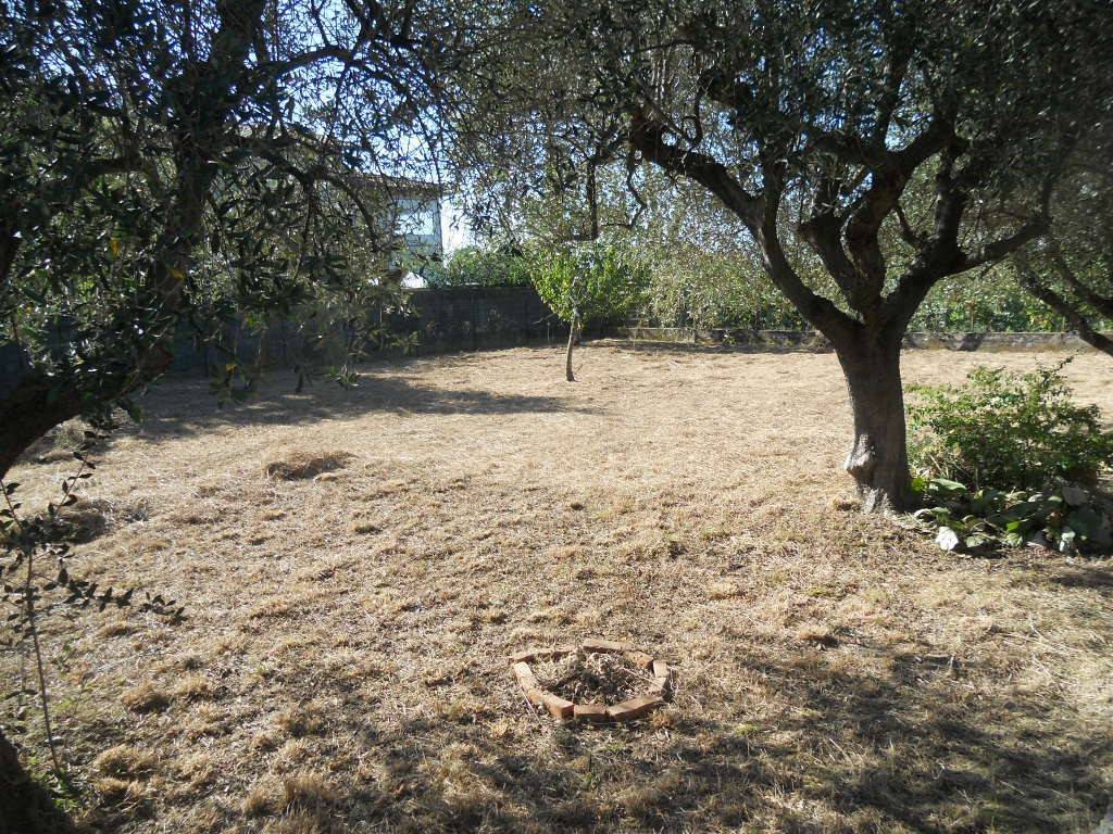 Villa a Luni in Via Luni, 36 - Foto 2