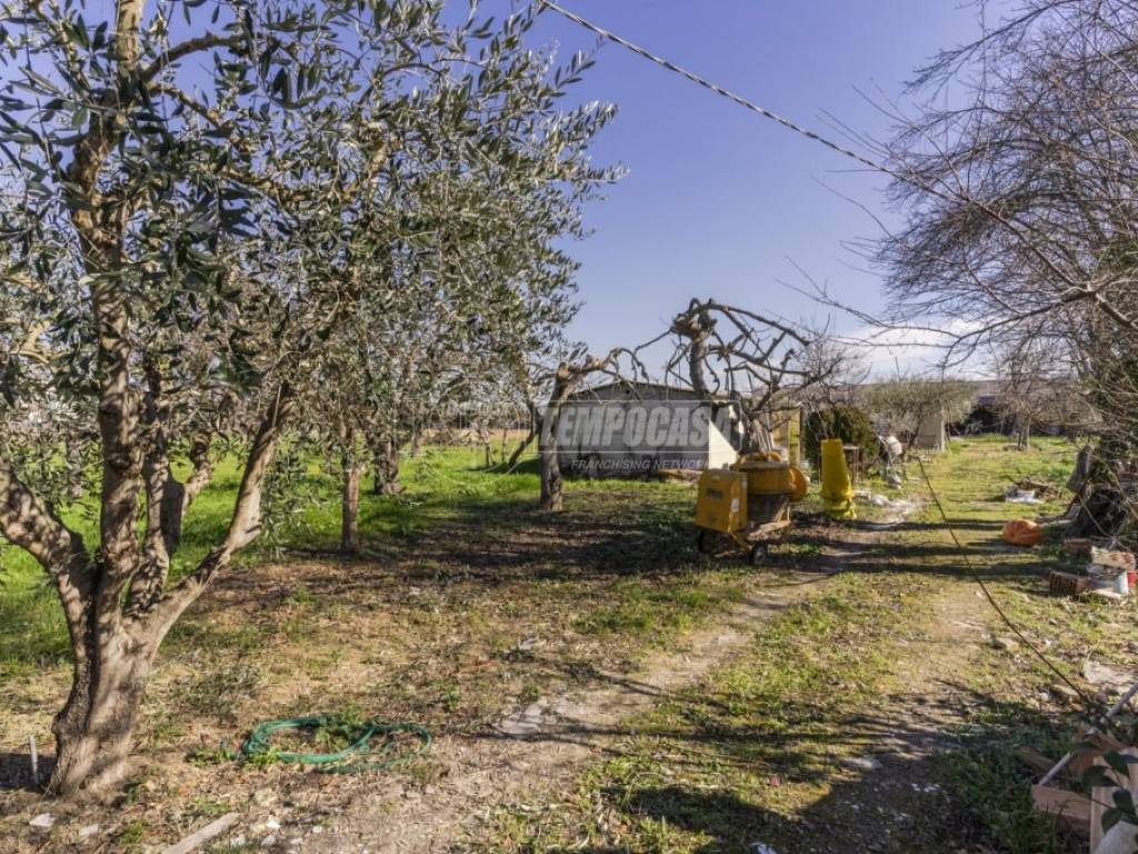 Terreno a Morrovalle in Via Michelangelo 220/terreno - Foto 3