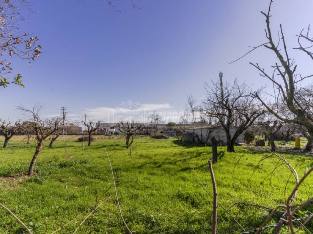 Terreno a Morrovalle in Via Michelangelo 220/terreno - Foto 4