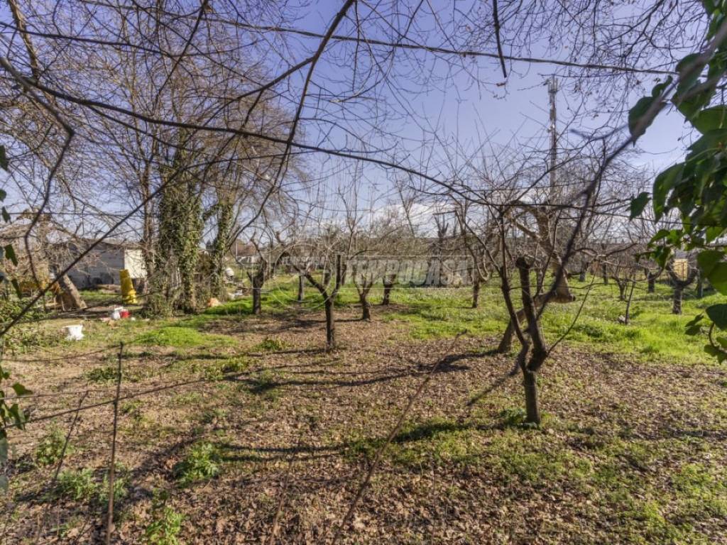 Terreno a Morrovalle in Via Michelangelo 220/terreno - Foto 5