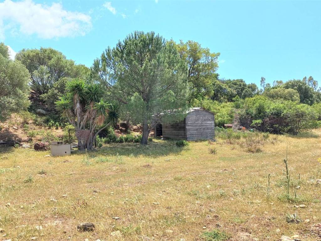 Terreno a Castiadas in Loc. Sitò - Foto 3