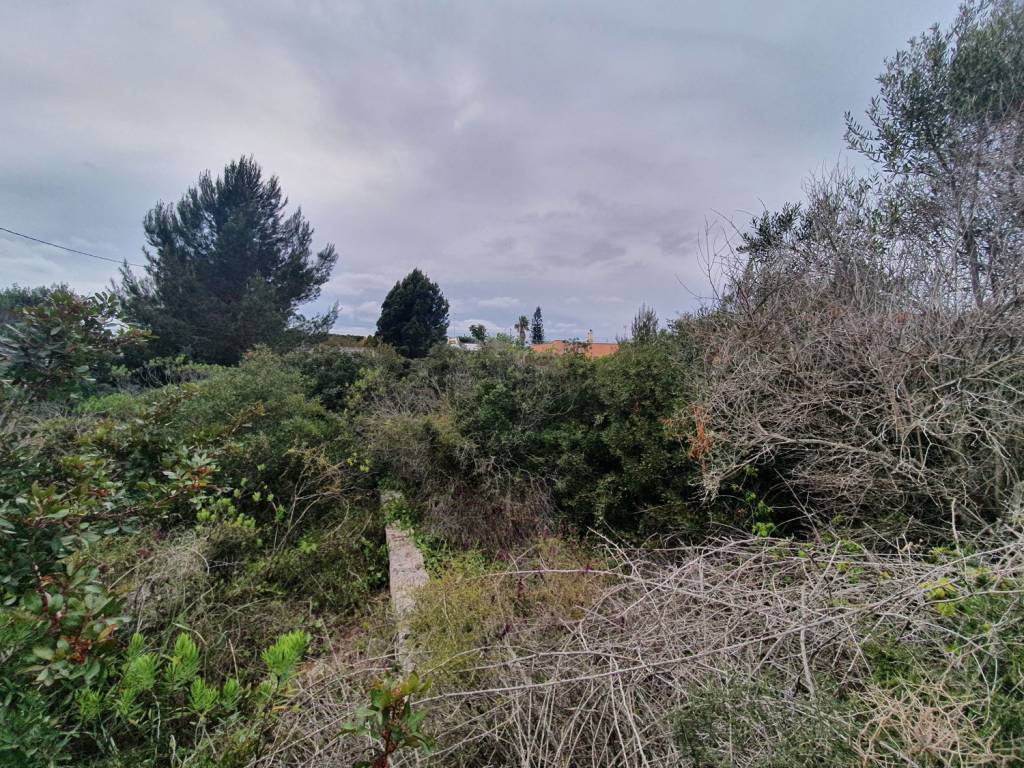 Terreno a Lecce - Foto 5