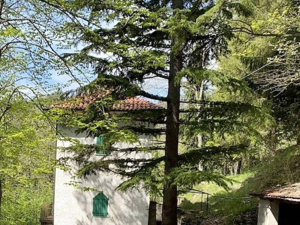 Villa a Sale delle langhe in Località Arbi Borgata Carretti S.N.C. - Foto 3