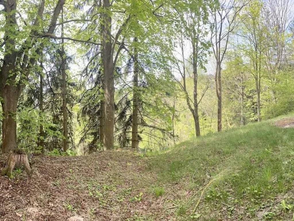 Villa a Sale delle langhe in Località Arbi Borgata Carretti S.N.C. - Foto 4