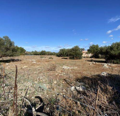 Terreno a Cinisi - Foto 5