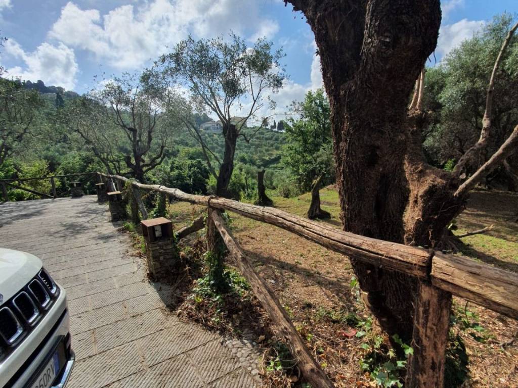 Rustico / casale a Massarosa - Foto 3