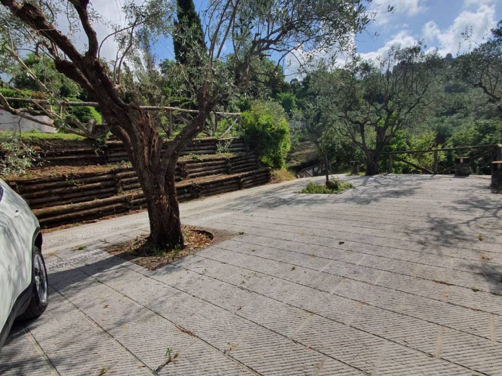 Rustico / casale a Massarosa - Foto 4