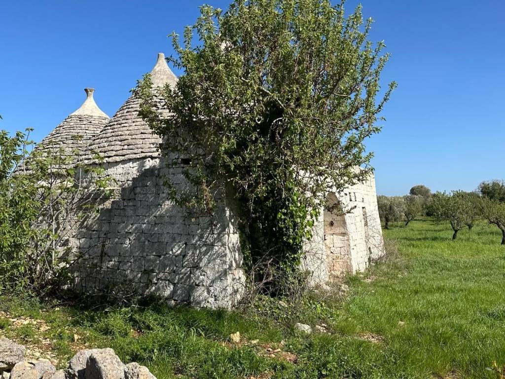 Rustico / casale a Ostuni in Contrada Platone - Foto 2