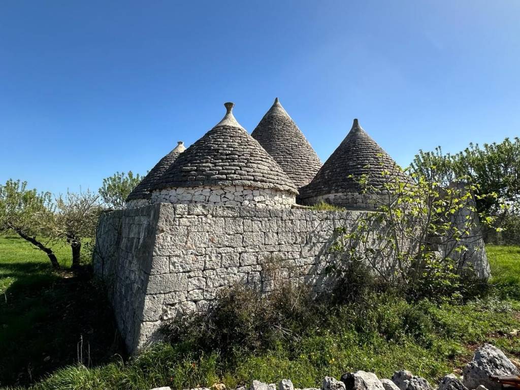 Rustico / casale a Ostuni in Contrada Platone - Foto 3