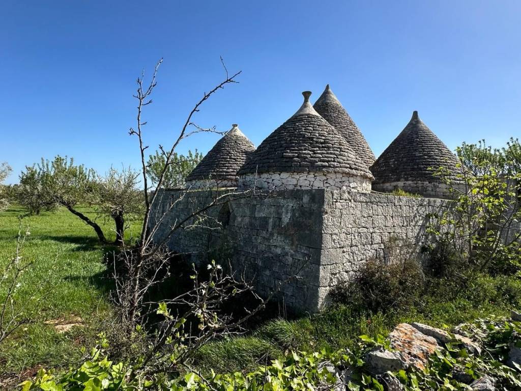 Rustico / casale a Ostuni in Contrada Platone - Foto 4