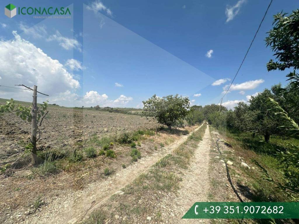 Terreno a Matera in Strada Provinciale Fondo Valle Bradano - Foto 3