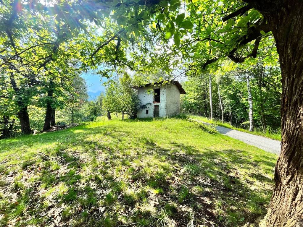 Rustico / casale a Pralungo in Regione Runscin S.N.C. - Foto 4