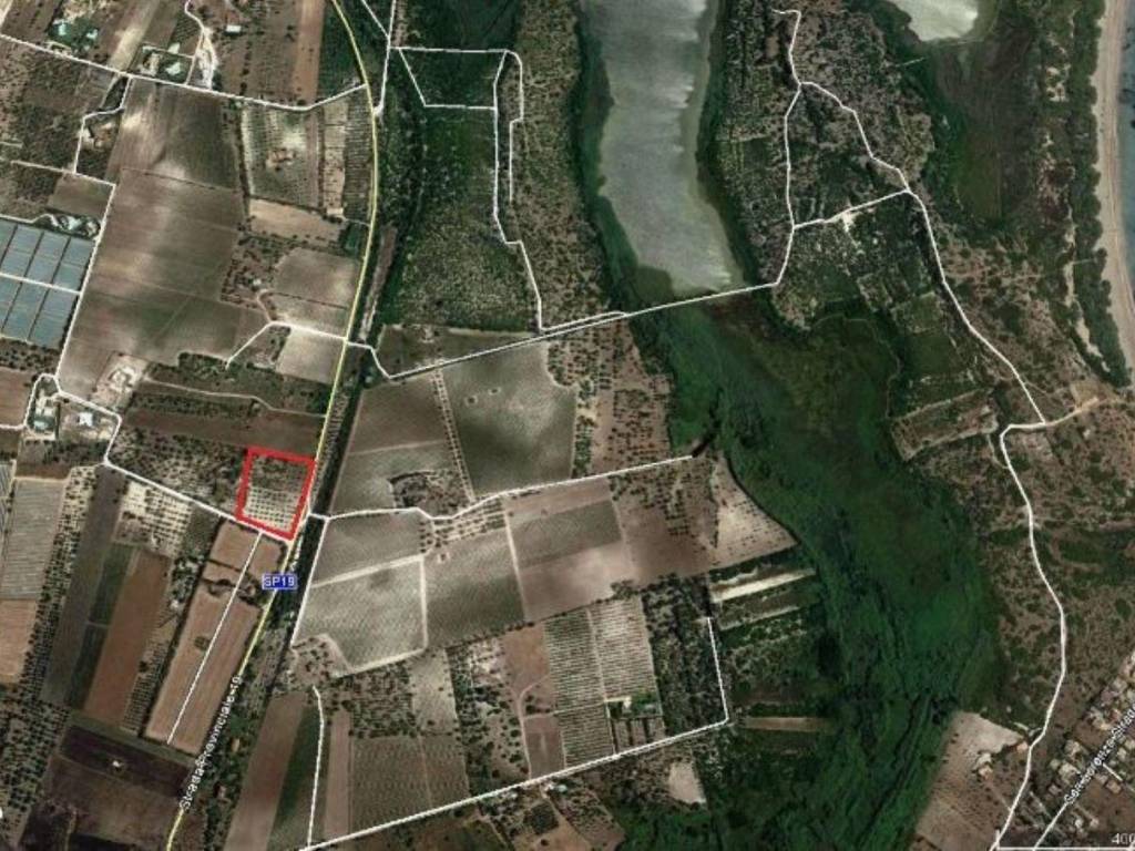 Terreno a Noto in SP 19, 96017 Noto s.n.c - Foto 5