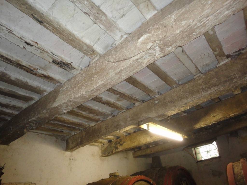 Rustico / casale a Monte roberto - Foto 3