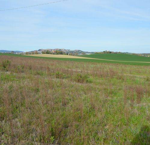 Rustico / casale a Recanati - Foto 4