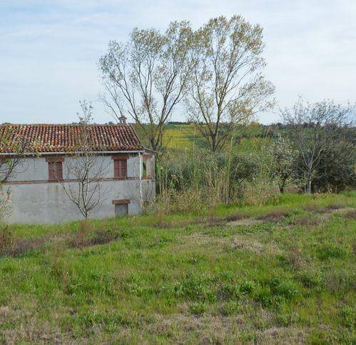 Rustico / casale a Recanati - Foto 5