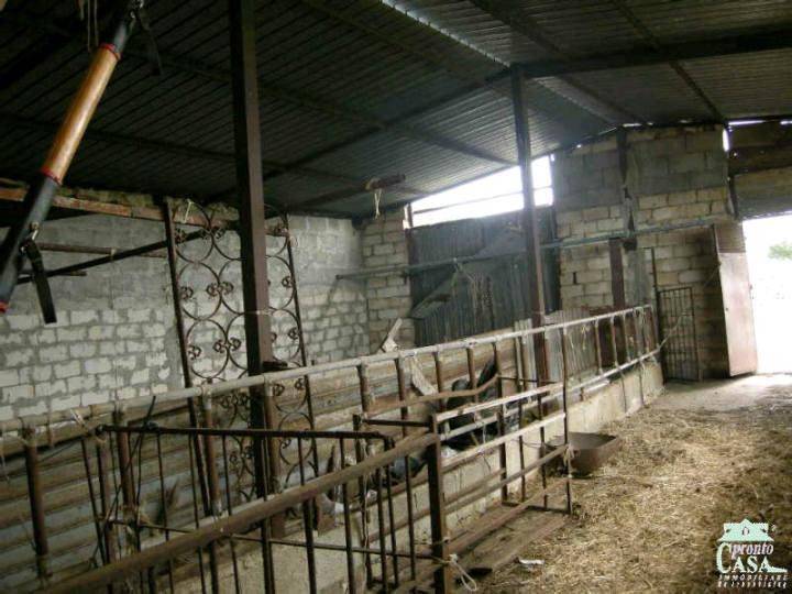 Terreno a Ragusa - Foto 4