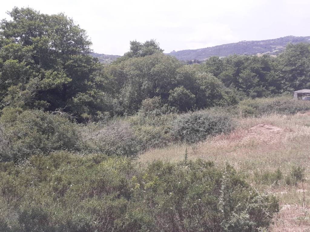Terreno a Arzachena - Foto 2