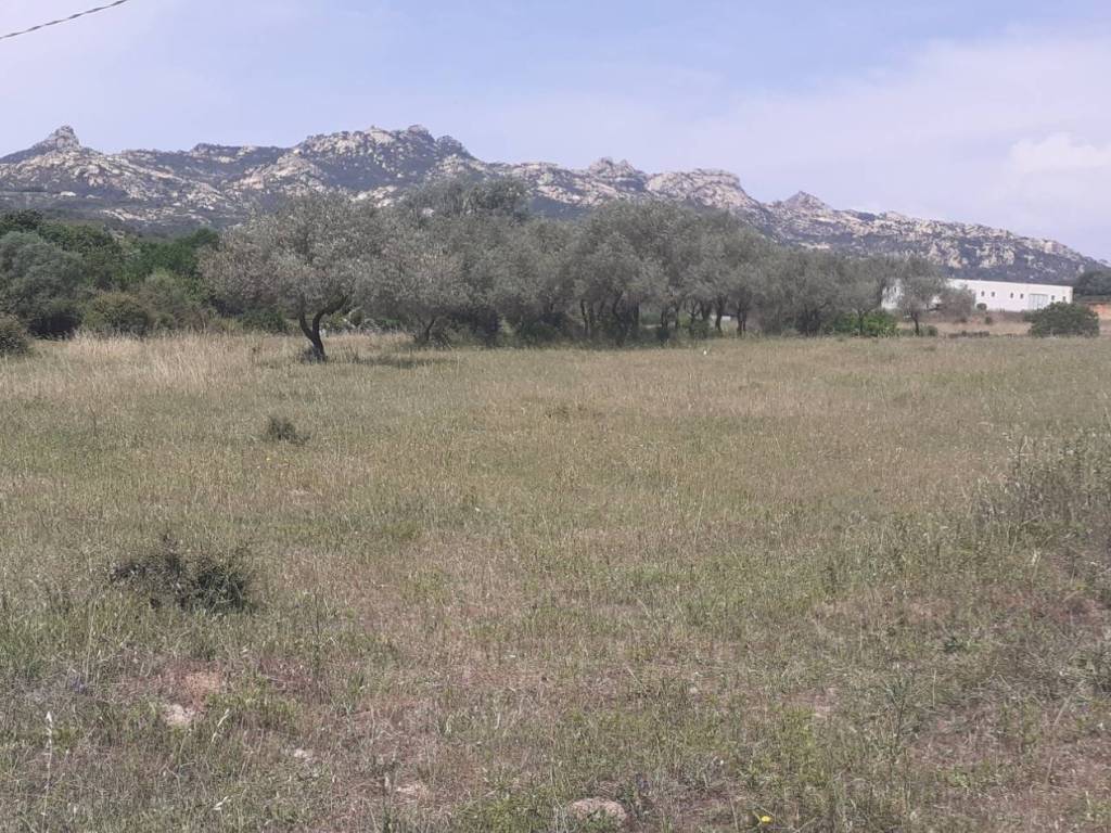 Terreno a Arzachena - Foto 4