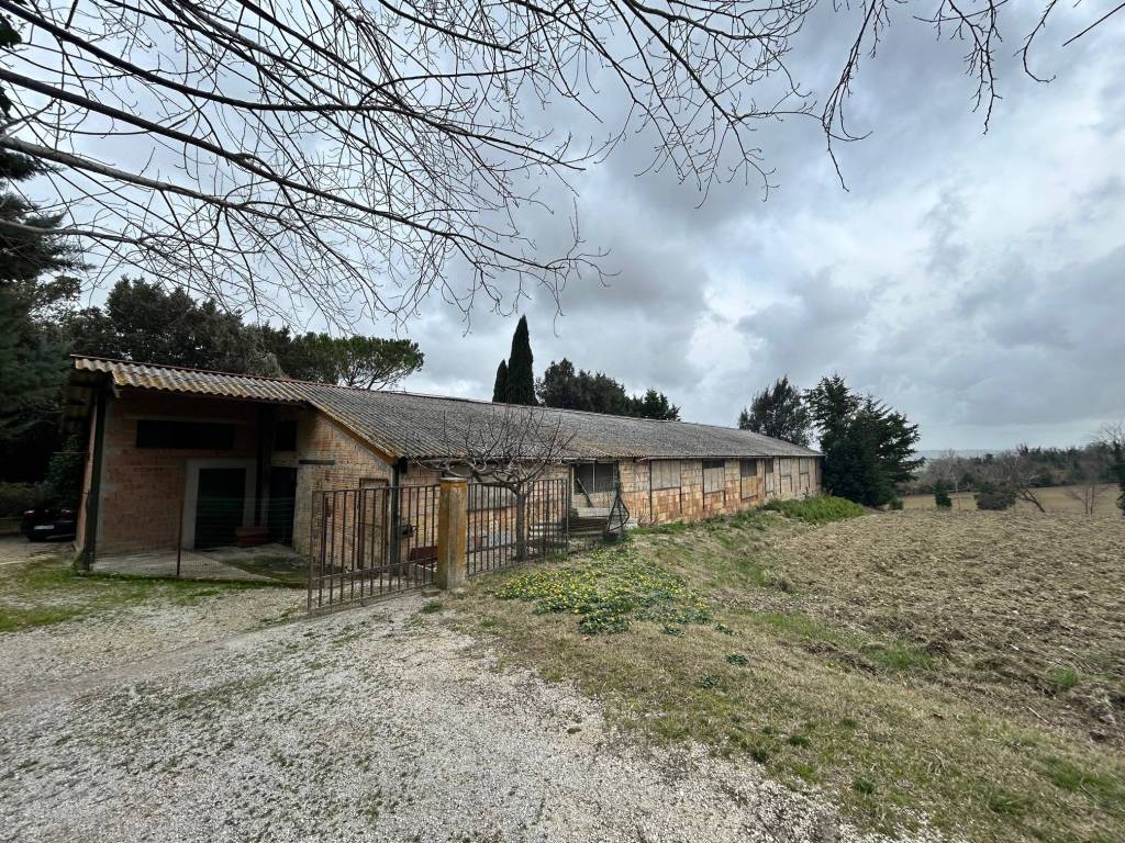 Appartamento a Filottrano - Foto 5