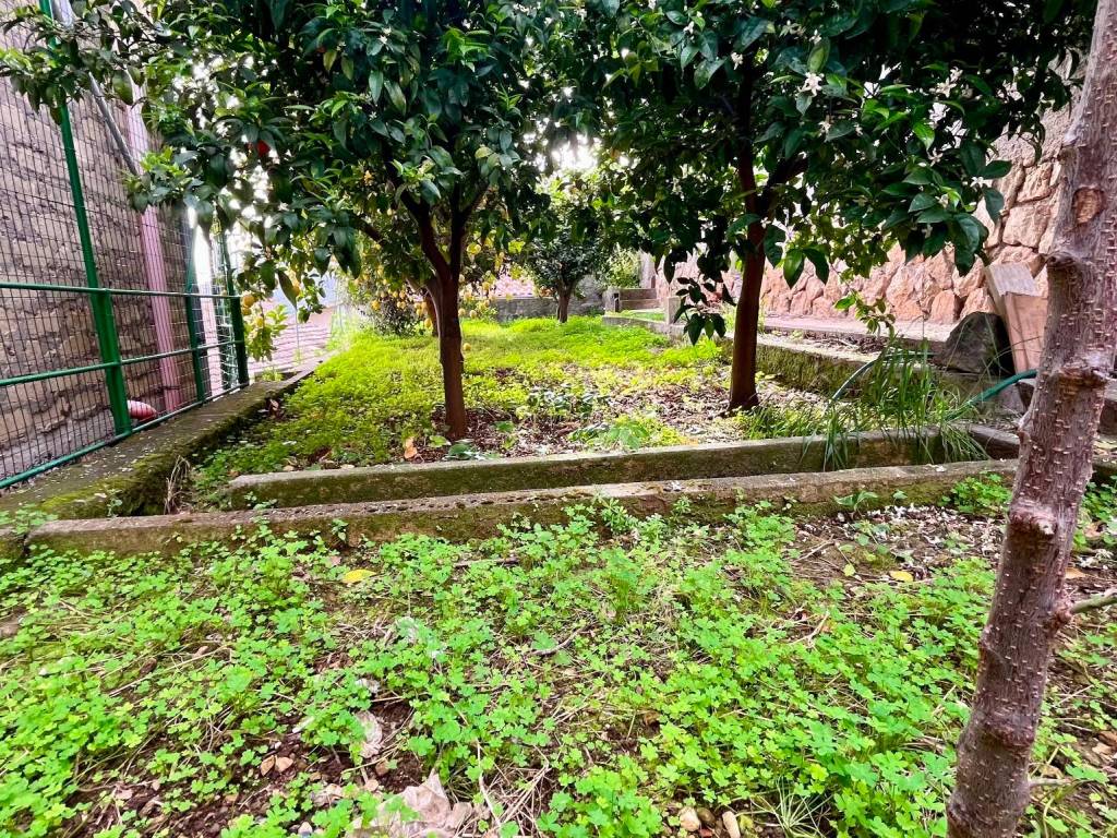 Appartamento a Monte san biagio in Viale Europa - Foto 3
