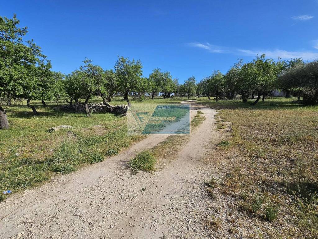 Terreno a Priolo gargallo in Strada Marina - Foto 4