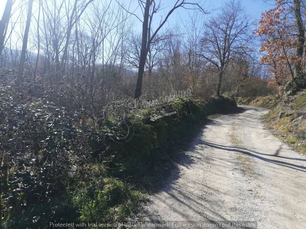 Terreno a Soriano nel cimino in Strada Provinciale Sorianese S.N.C. - Foto 3