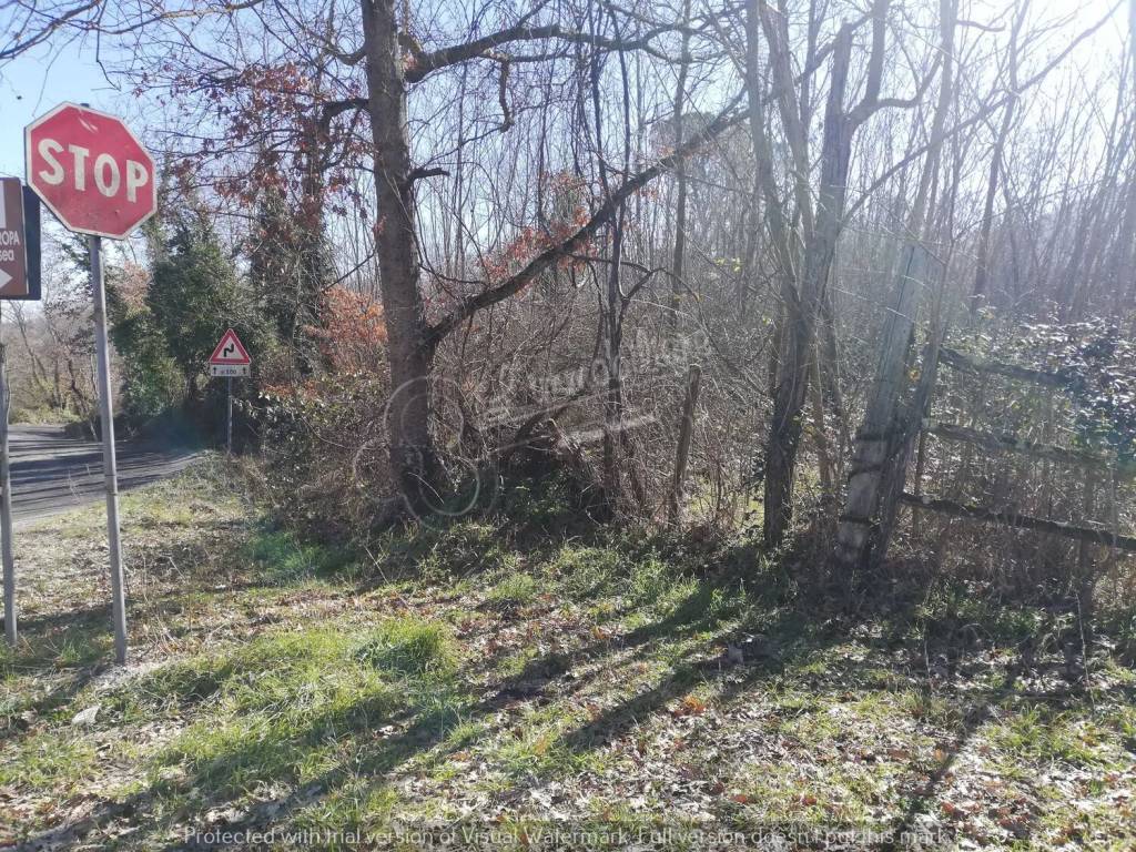Terreno a Soriano nel cimino in Strada Provinciale Sorianese S.N.C. - Foto 4