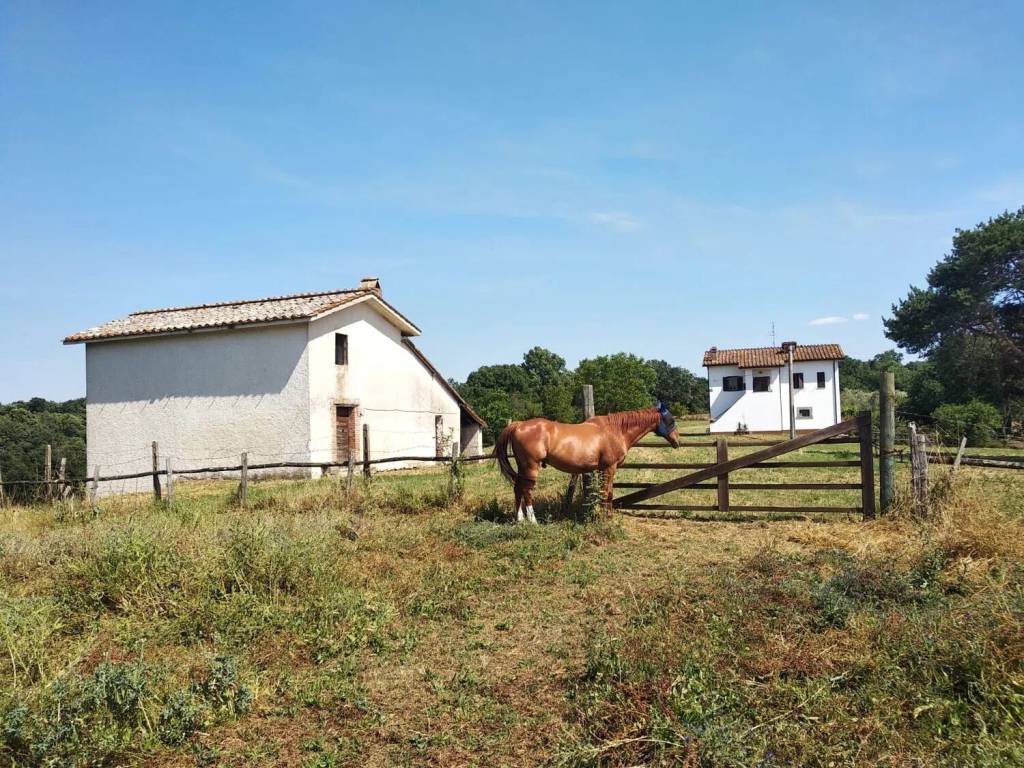 Villa a Soriano nel cimino in Località Pantane, 77 - Foto 2