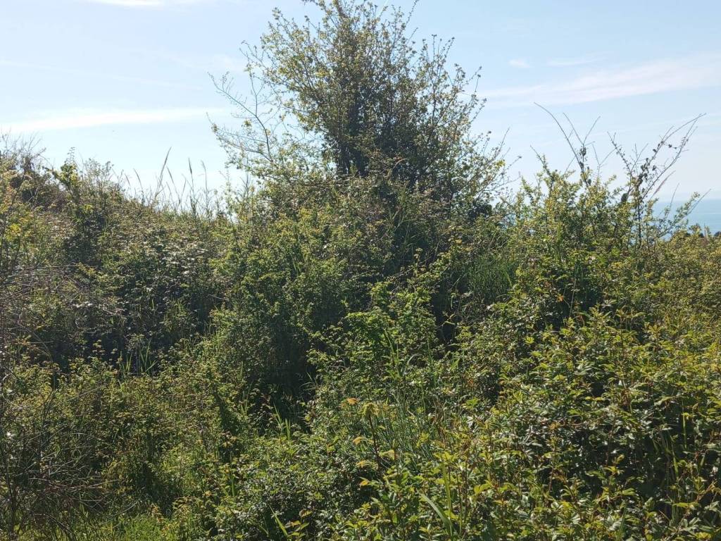 Terreno a Salerno in Via Panoramica - Foto 2