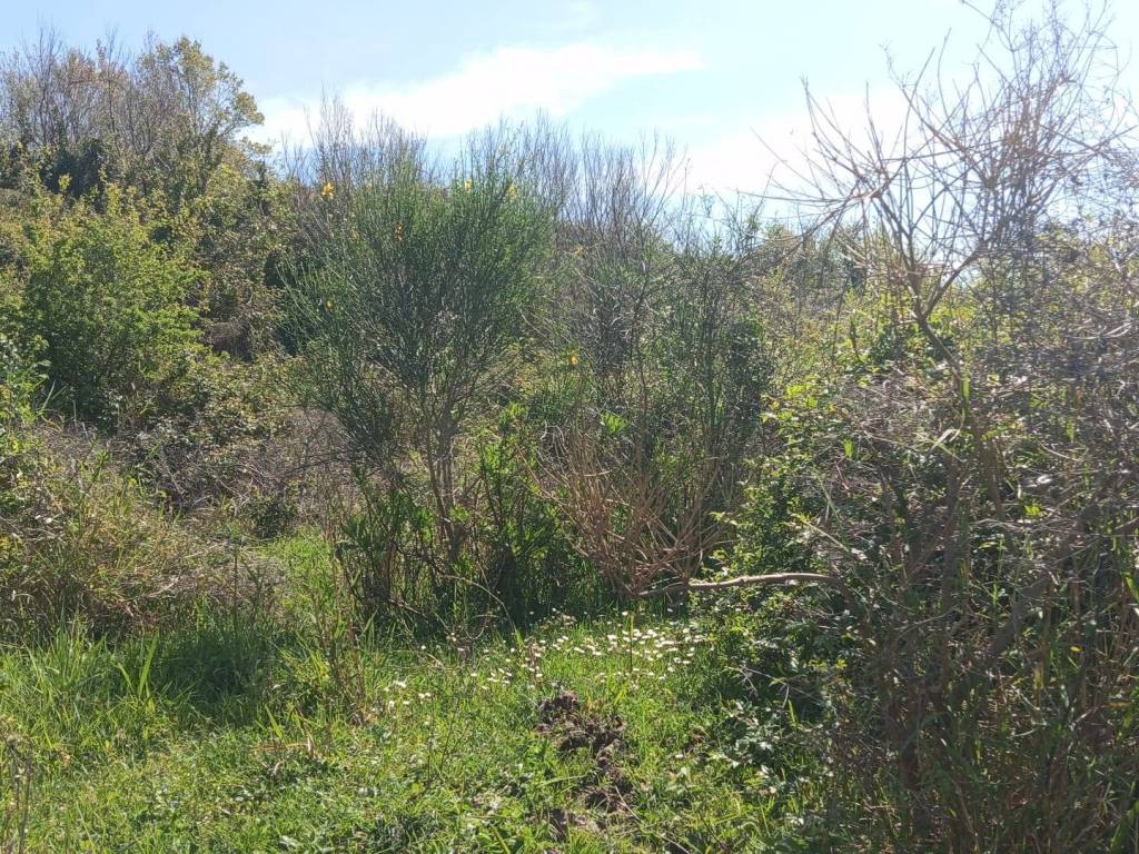 Terreno a Salerno in Via Panoramica - Foto 3