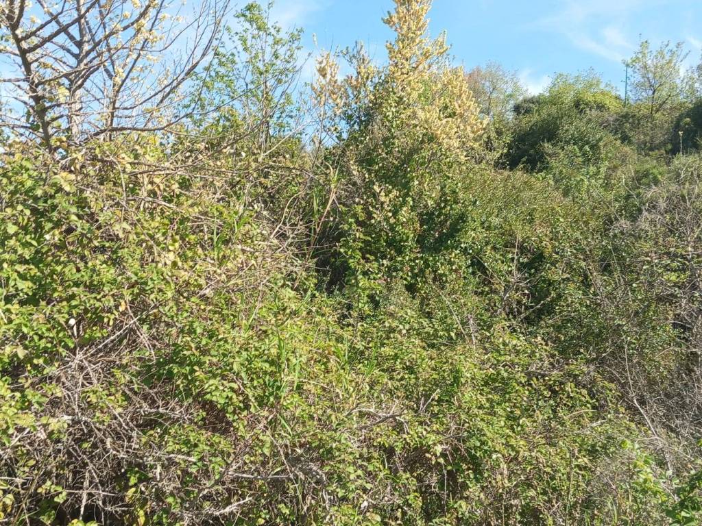Terreno a Salerno in Via Panoramica - Foto 5