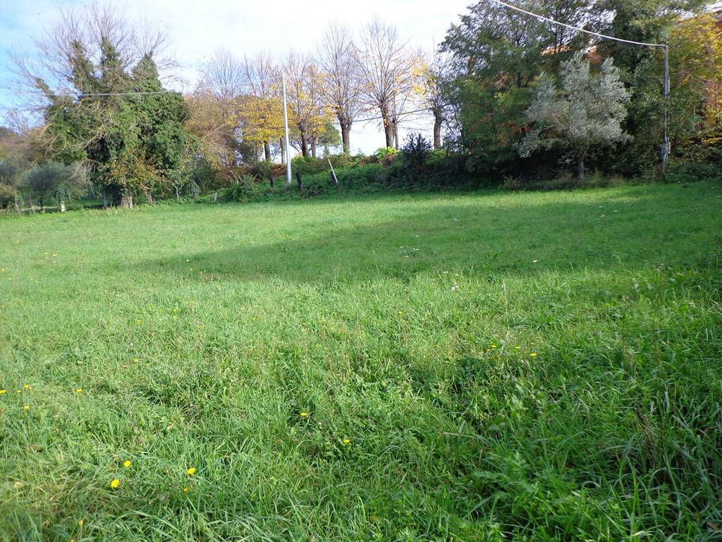 Terreno a Collevecchio in Via dei Cappuccini - Foto 5