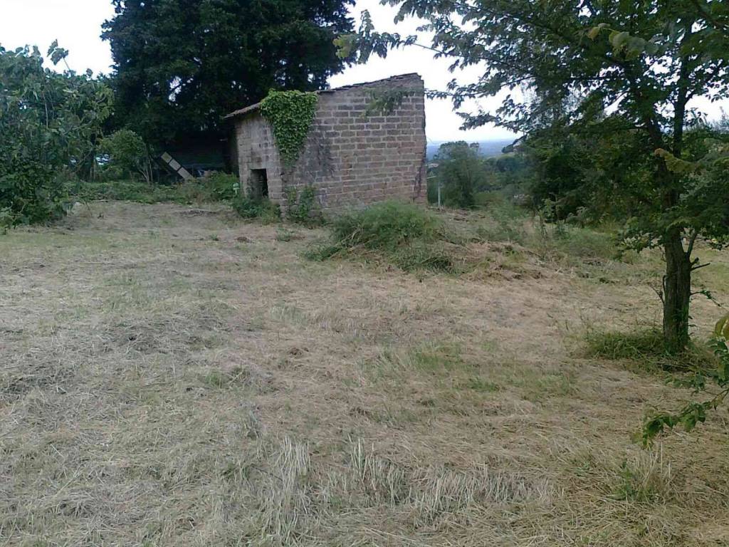 Rustico / casale a Collevecchio in Via Sant'Angelo - Foto 2