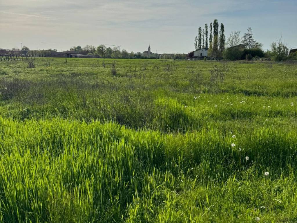 Terreno a Castelfranco emilia in Via Cimitero - Foto 2