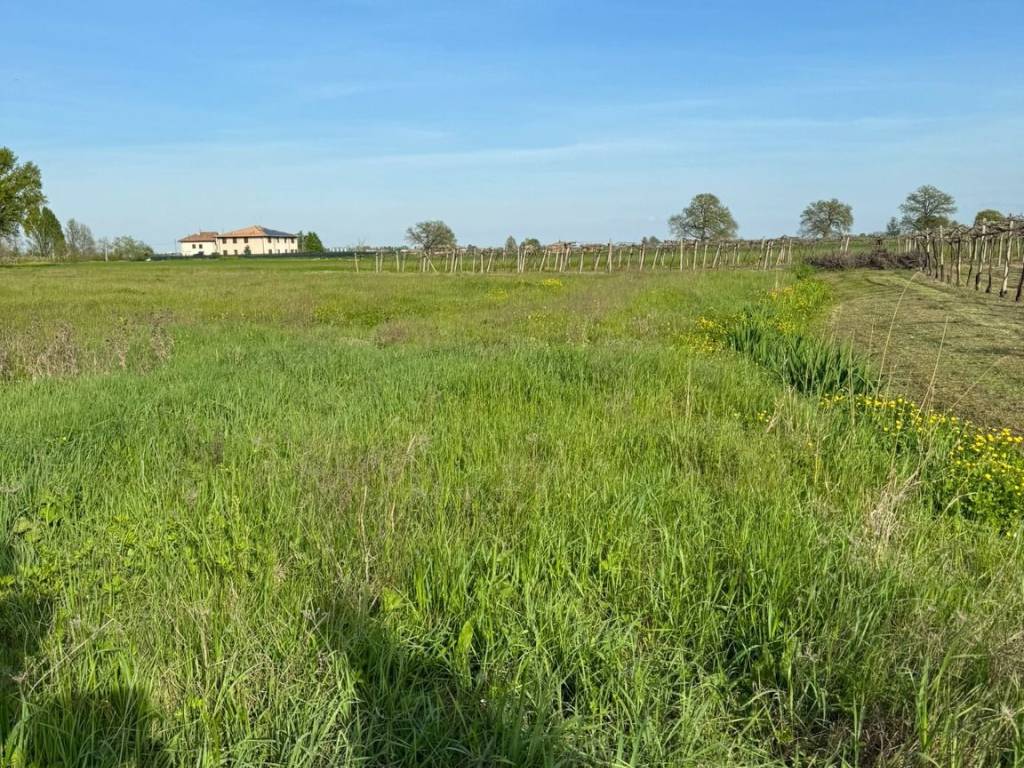 Terreno a Castelfranco emilia in Via Cimitero - Foto 3