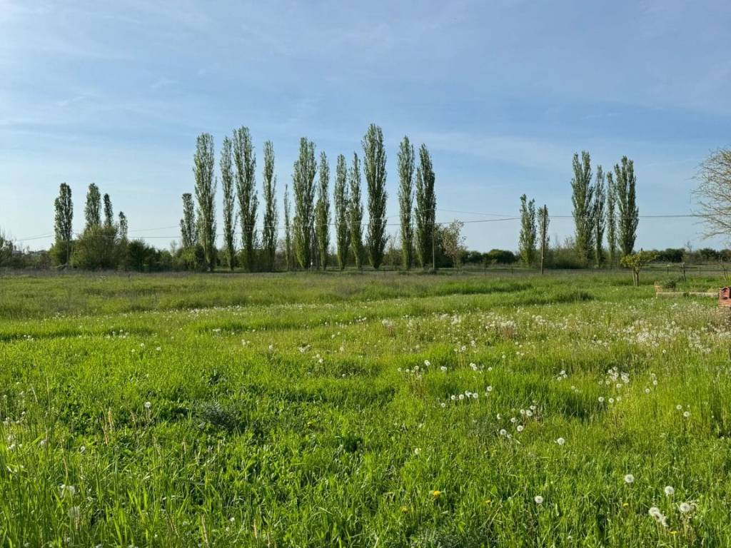 Terreno a Castelfranco emilia in Via Cimitero - Foto 4
