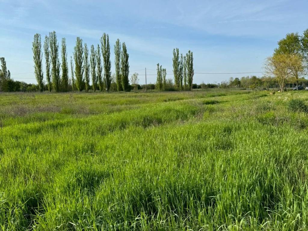 Terreno a Castelfranco emilia in Via Cimitero - Foto 5