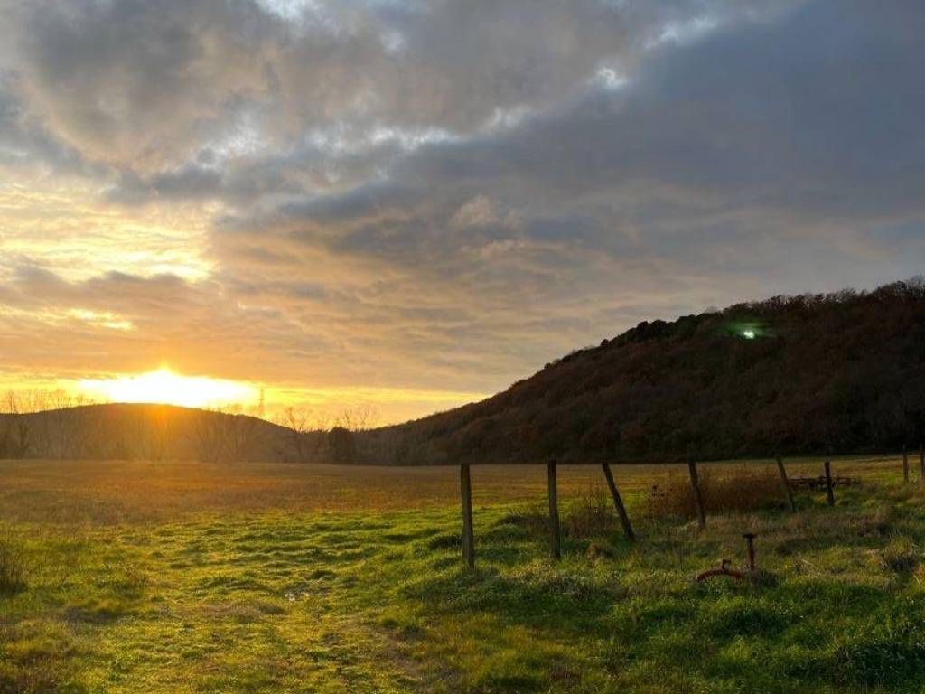 Terreno a Tuscania in Strada Tuscanese - Foto 3