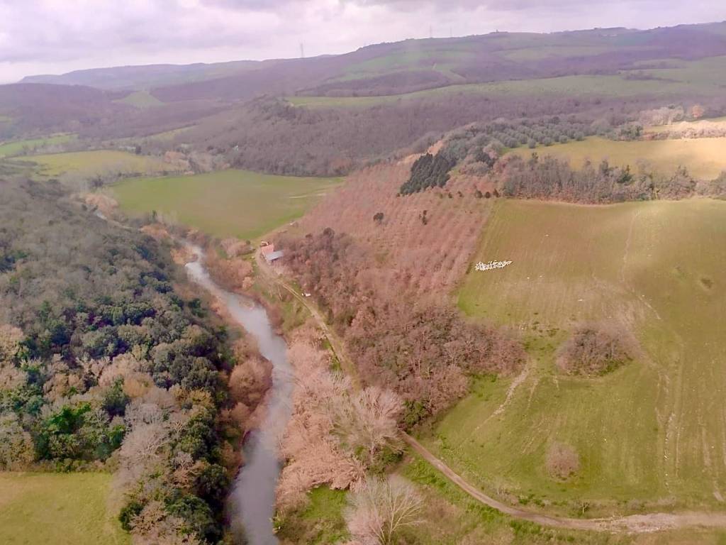 Terreno a Tuscania in Strada Tuscanese - Foto 4