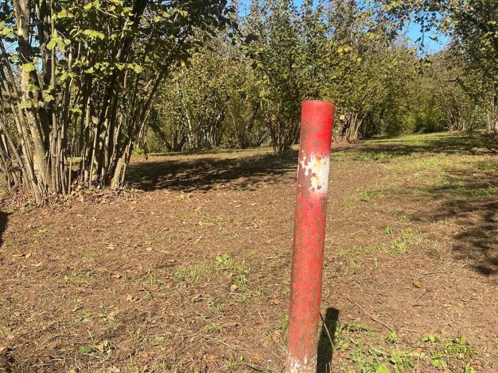 Terreno a Sutri - Foto 3