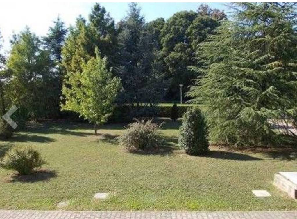Appartamento a Selvazzano dentro - Foto 5