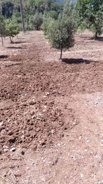 Terreno a Perugia - Foto 2