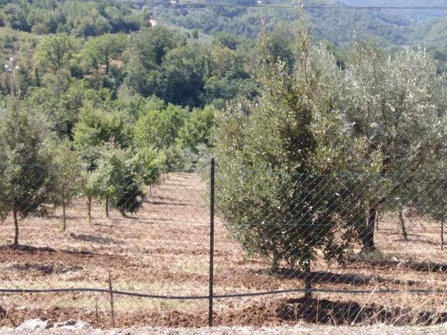 Terreno a Perugia - Foto 3