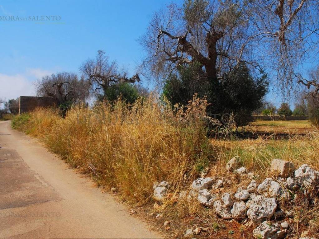 Terreno a Corsano in SP 187 - Foto 2