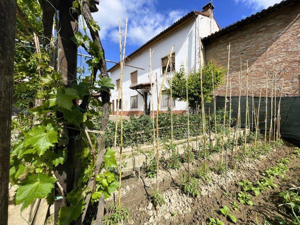 Casa indipendente a Bergamasco in Via Giuseppe Garibaldi, 14 - Foto 2