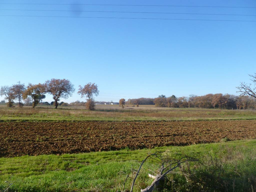 Terreno a Castiglione del lago in Pucciarelli - Foto 5