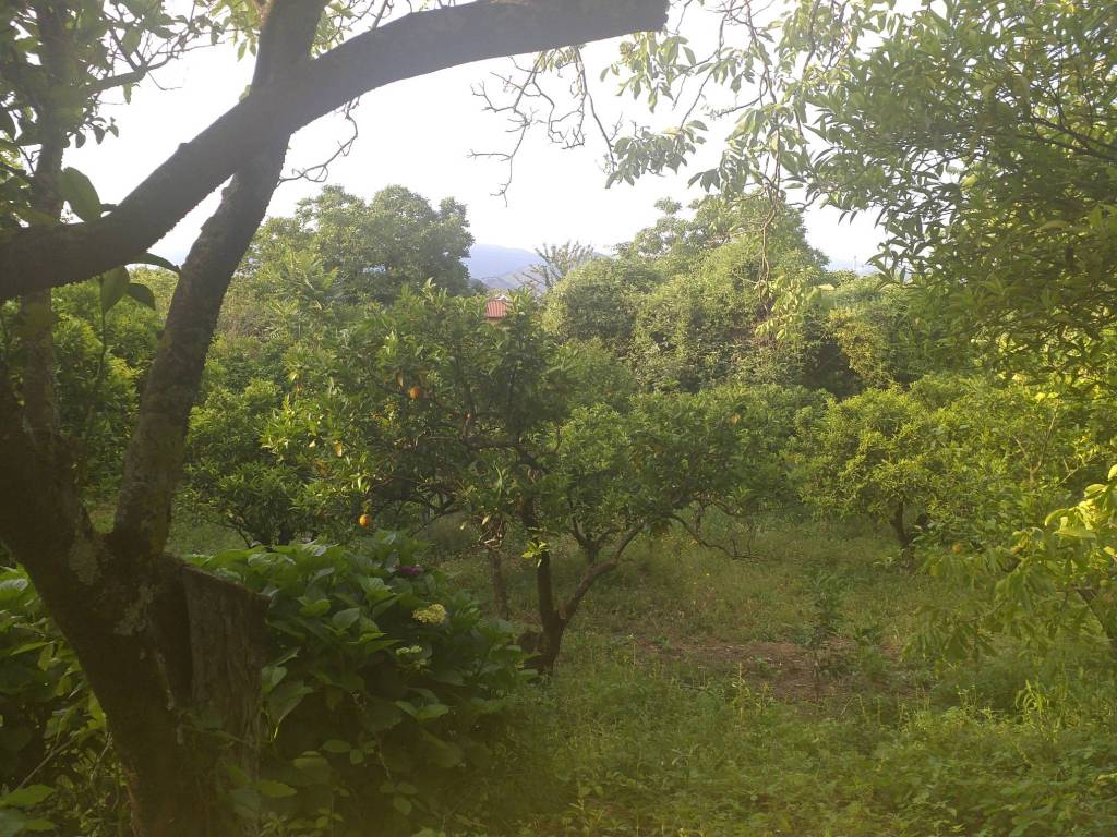 Terreno a Nocera inferiore in Via degli Olivetani - Foto 3