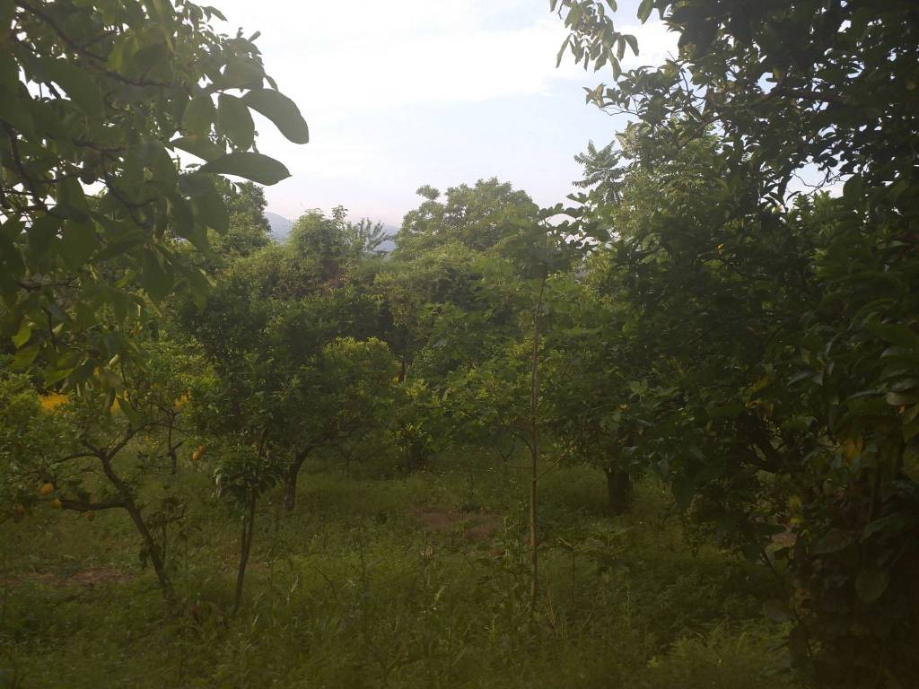Terreno a Nocera inferiore in Via degli Olivetani - Foto 4